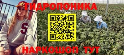 метадон Аша