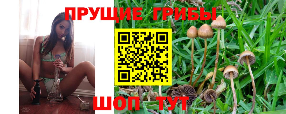 Метамфетамин Бердск