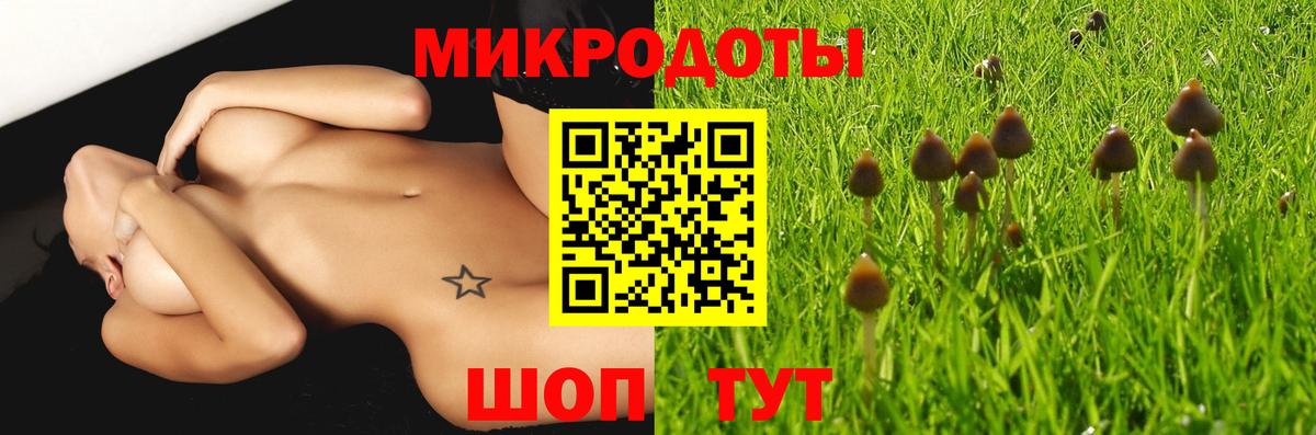закладка  Галлюциногенные грибы Psilocybe  Вход с VPN  Псилоцибиновые грибы GOLDEN TEACHER  Бердск 